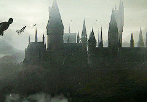 hogwarts,dementor,harry potter,hermione,dobby,harry,ron,deathly hallows