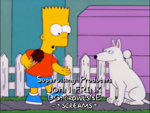 dog,bart simpson,episode 12,scared,season 13,runaway,13x12,snow cone