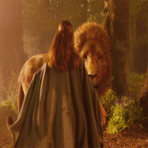 Aslan Things Never Happen The Same Way Twice GIF - Aslan Things