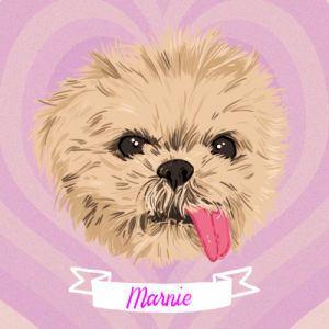 marnie,cute,dog,lol,fox,artists on tumblr,puppy,animation domination,fox adhd,faye orlove,animation domination high def