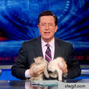 stephen colbert,club,book,friday,stephen,colbert,fangirl,saucy,wenches