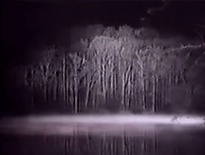 vhs,woods,horror,night,creepy,lake,fog,2spooky