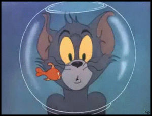 tom and jerry,animation,cat,vintage,cartoon,comics,fish,fishbowl,fish bow
