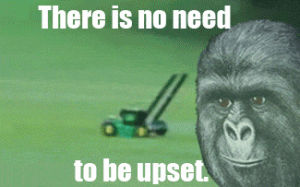 there is no need to be upset,comfort,lawnmower,meme,gorilla