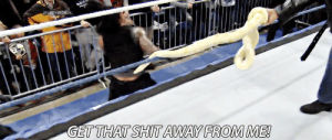 roman reigns,wwe,wrestling,hilarious,but same