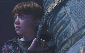 harry potter,ron weasley,rupert grint,movies,wejustdecidedto,harry potter the philosophers stone,harry potter the sorcerers stone,ill be a knight