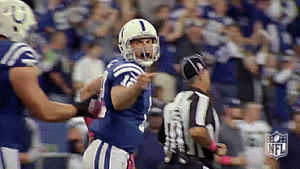 nfl,colts,indianapolis colts