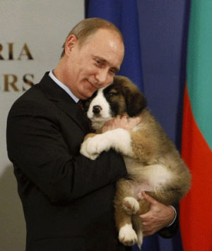 cuddle,russia,vladimir putin,animals,putin,funny,love,cute,dog,puppy,sitting,news politics