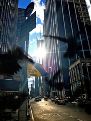 new york,city,nyc,clouds,midtown,flare,sky,sun,sun rays,art,horror,american horror story,ahs,birds,collage,horror movie,alfred hitchcock,manhattan,hitchcock,the birds,sun flare