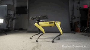 boston dynamics,dance,dancing,robot,robotics,spot,robot dance,robot dog
