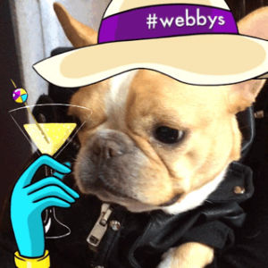 dog,cocktails,french bulldog,the webby awards,chloe the mini french bulldog,webby