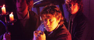 Sam the lord of the rings merry GIF - Find on GIFER