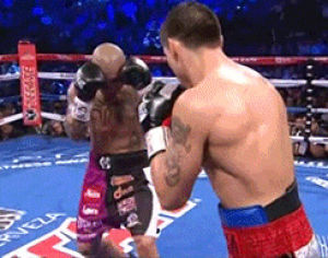 entertainment,fighting,boxing,miguel cotto,middleweight,sergio martinez