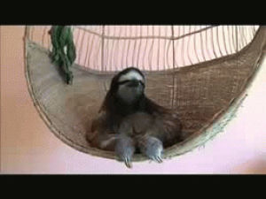 sloth,feels
