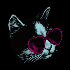 neon,transparent,summer,spring,heart,vacation,sun,sunglasses,psychedelic,cat,fashion,vintage,holiday,break,heart shaped sunglasses