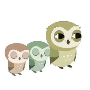 owl,owls,snoozy,puffin rock,pop,sleepy,nap,pip,otto,nap time,hoots