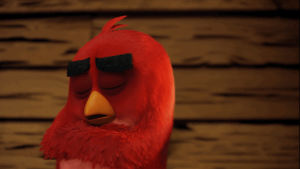 sleeping,angry birds,nap,blake shelton,music video,friends,red,sleep,birds,boring,the angry birds movie,dont care