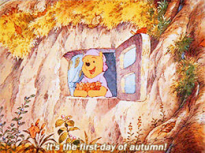 winnie the pooh,pooh bear,90s,disney,fall,autumn,leaves