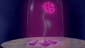 beauty and the beast,rose,movie