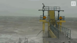news,crazy,storm,nowthis,now this news,hurricane,swimming,nowthisnews,ireland,diving,danger,galway,salthill,storm desmond