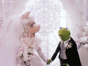 miss piggy,kermit the frog,the muppets,the muppets take manhattan,muppet s,kermit and piggy