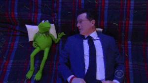 television,stephen colbert,lssc,kermit the frog