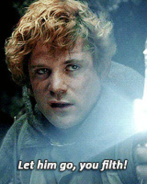 Samwise Gamgee Gif Find On Gifer