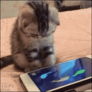 Scrolling addicted iphone GIF on GIFER - by Truehammer