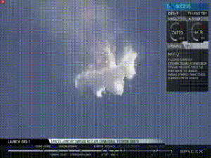 spacex,rockets