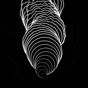 geometry,smoke,flow,hypnotic,trippy,black and white,trapcode,xponentialdesign,animation,endless,loop,tao,seamless,trapcodetao,after effects,motion design