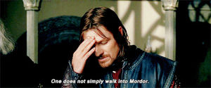 lotr,one does not simply,sean bean,annoyed,facepalm,reactions,frustrated,sigh,one does not simply walk into mordor,exhasperated