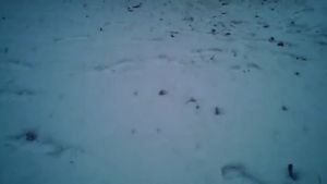 snow,storm,mini,quadcopter