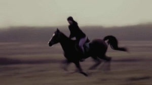 horse,horses,sarah,riding,equestrian,galloping,arabian horse