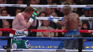 win,highlights,bloody,results,elbow,mayweather,decision,canelo