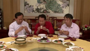 eat,chinese food,peking duck,chi,roast duck