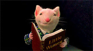 mouse,reading,stuart little,rat,bookworm,i love reading,stuart,girly,worm,animal,cool,book,books,nerd,geek,tail,tale,taik