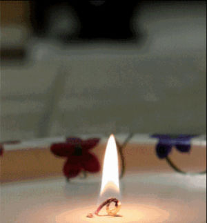 candle,burning candle,fire,light,watching,from,burning,far,too,much,satisfaction