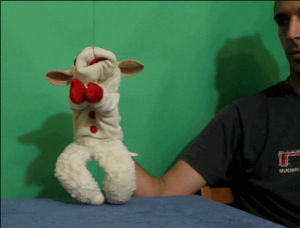 puppet,dancing,silly,home video,lambchop,feed,bitting,camelko