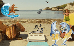 hula,beach,dolphins,surfing dog