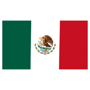 latino,latina,mexico,flag,flags,bandera,latinos,latinas,banderas,countach