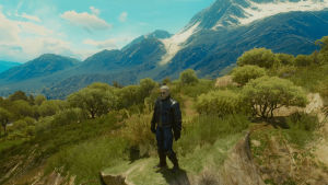 witcher,gaming,toussaint
