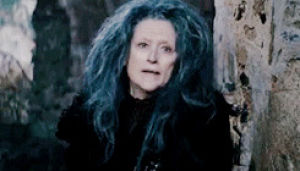 into the woods,meryl streep,the witch
