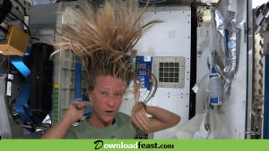 funny,most funny,funny people,lol,hahaha,best,funny hair,funny hairstyle