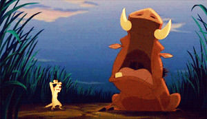 timon and pumbaa,freaking out,whyyyy,sobbing,reactions,crying,the lion king,panic,panicking