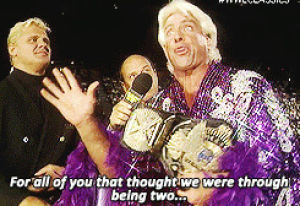 mr perfect,ric flair,wwe,wwf,idontlikewrestling,wrestlingchampions,harleyquinnism,thats a 10,rejecting