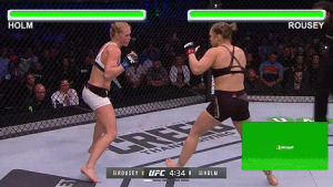 fight,mma,street,fighter,rousey,holm