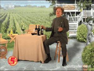 wine tasting,steve brule,sweet berry wine,drunk,tim and eric,check it out,dr steve brule,for your health,john c riley,plutopictures