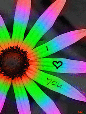 i love you,flowers,neon,flores,colors,coloful,love