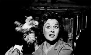 film,old hollywood,susan hayward,i want to live,iwanttolive