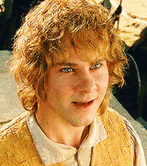 Lord of the rings GIF - Find on GIFER